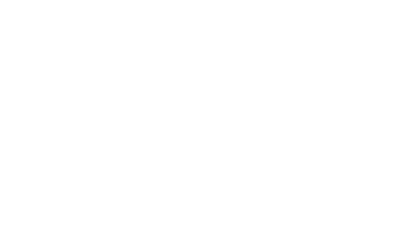 bulb-icon